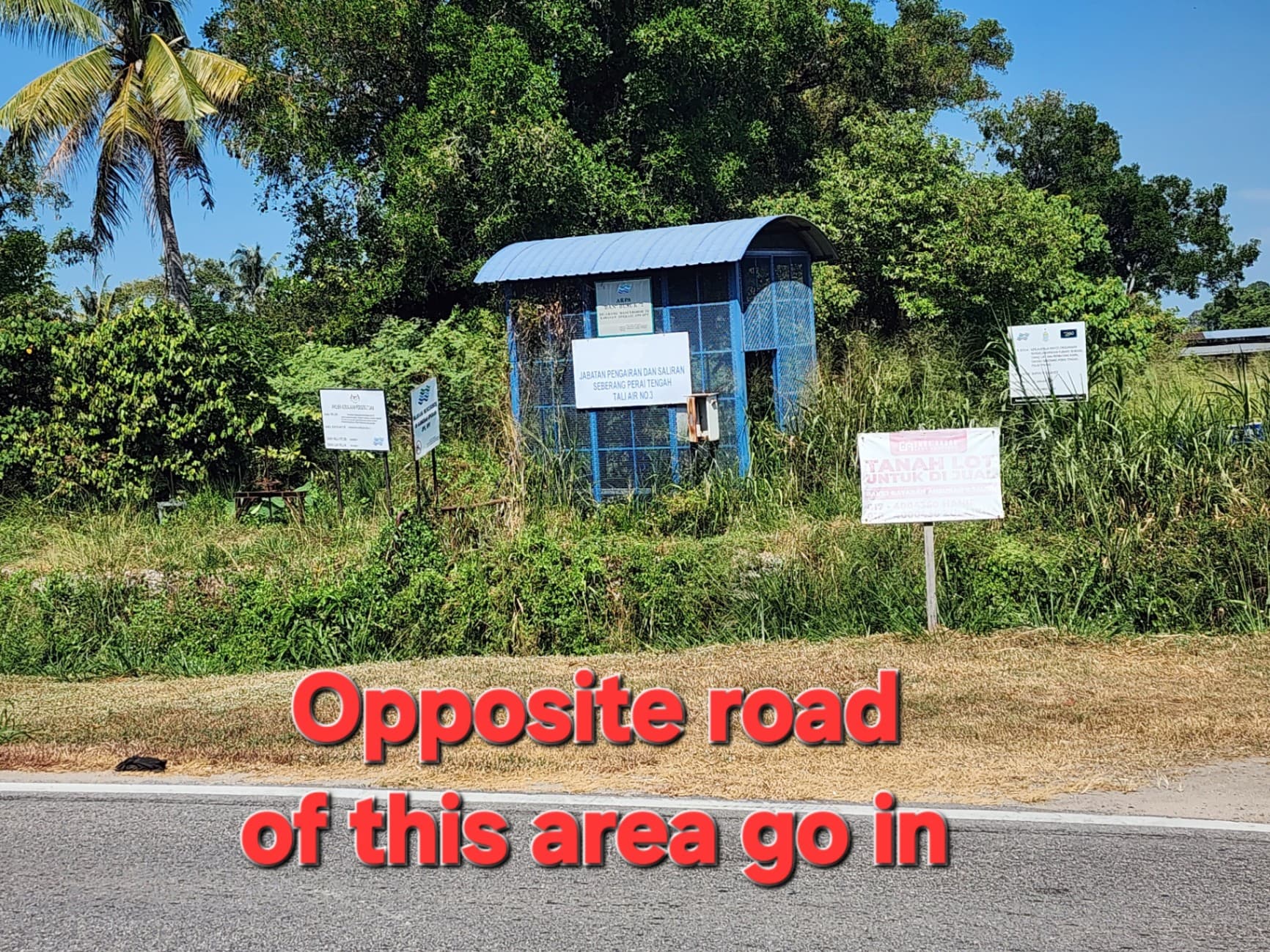 Sell First Grade paddy land at RM12 psf