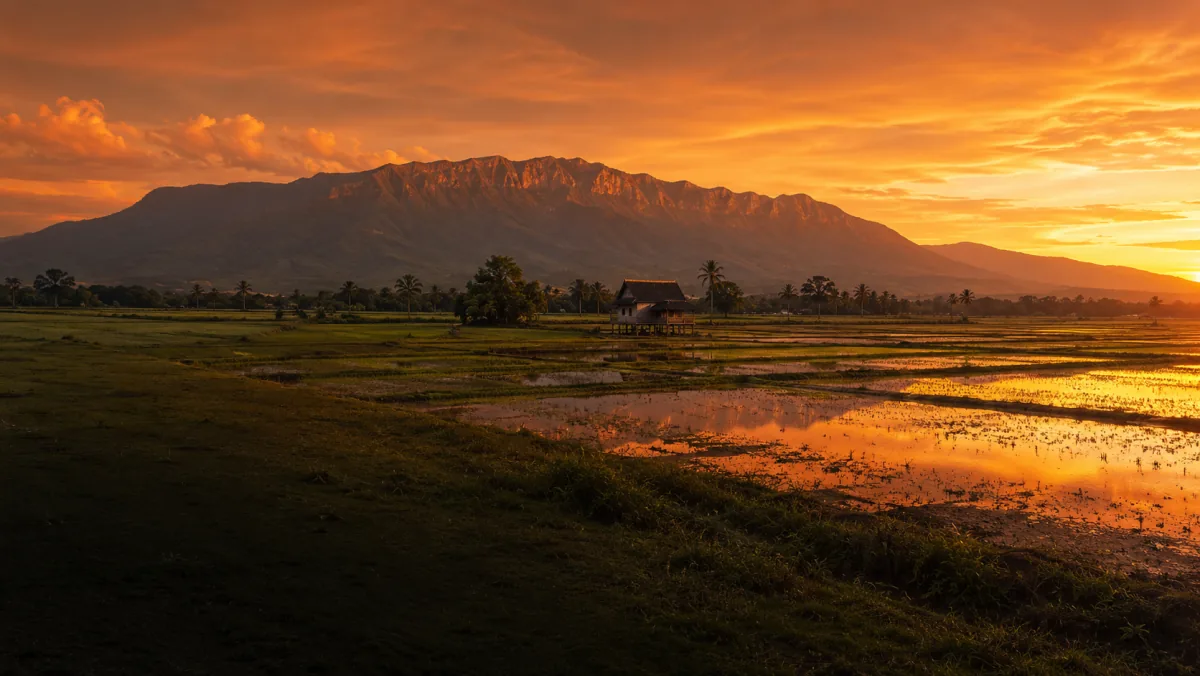 Kedah property listings